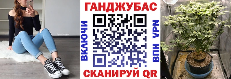  COCAIN Камбарка