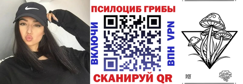 Купить где  Камбарка  Псилоцибиновые грибы прущие грибы 